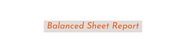 Balanced Sheet Report